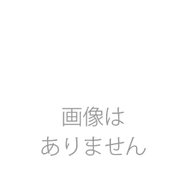 [MKP-7565W] 前幕板 全高60cm 間口750mm用 ホワイト 富士工業 レンジフード部材オプション 【送料無料】